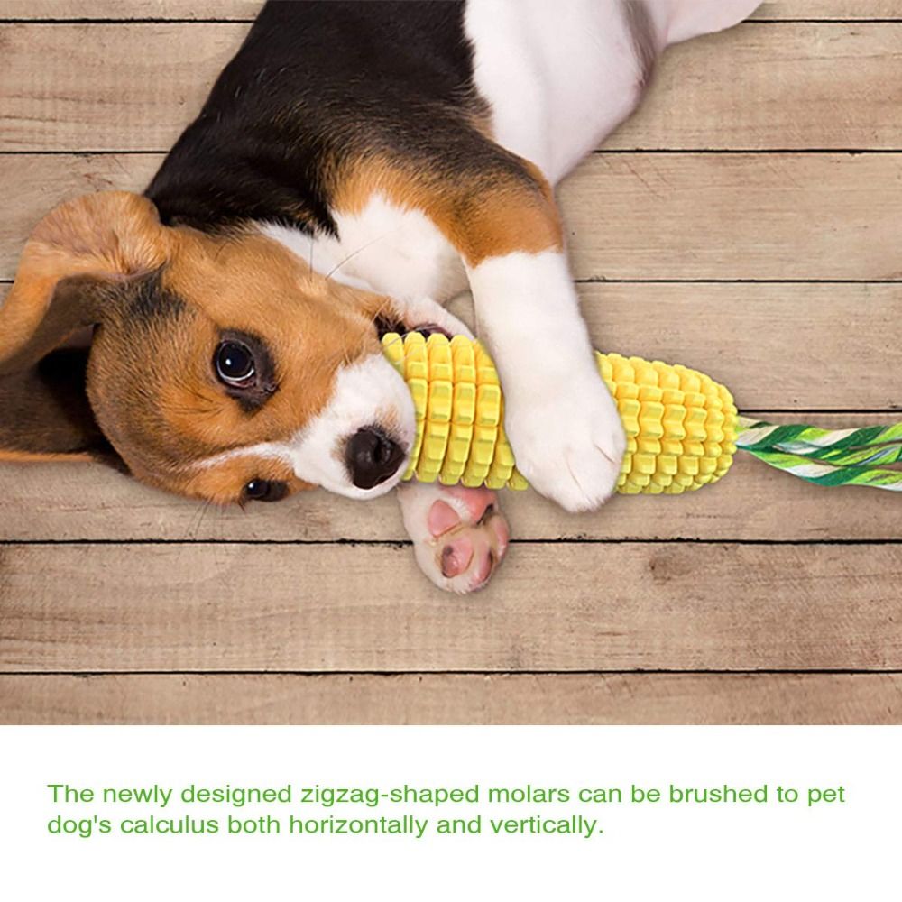 Sağlam Kauçuk Köpek Çiğneme Mı - Corn Dog Stick incelemesi ve fiyatı