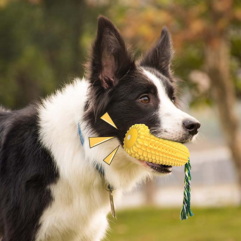 Mısır Şeklinde Gıcırtılı Köpek - Corn Dog Stick incelemesi ve fiyatı